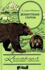 Жизнь серого медведя