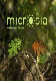 Microsia